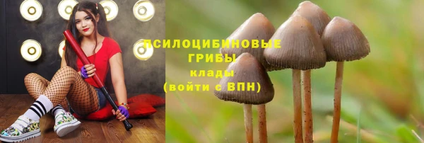 стафф Баксан