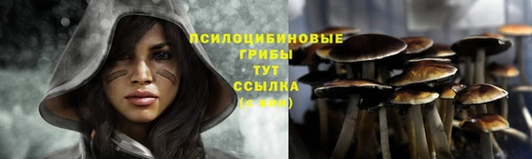 твердый Балахна
