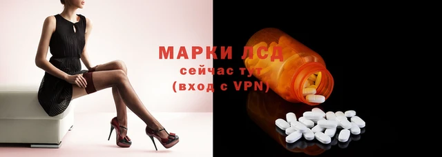 стафф Баксан