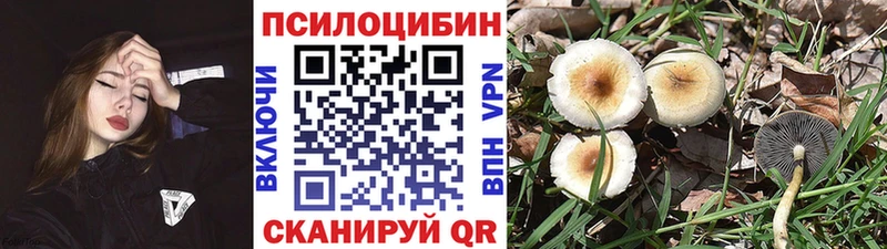 цены наркотик  Высоковск  Галлюциногенные грибы MAGIC MUSHROOMS 