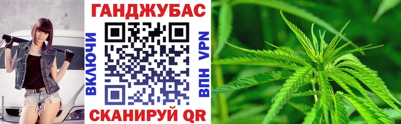 Бошки Шишки SATIVA & INDICA  купить наркотики цена  Высоковск 